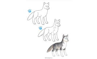 Let's Draw Dogs Activity Book
