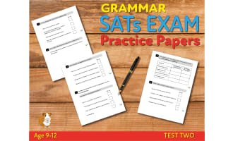Let’s Practise Grammar (TEST 2) ( 9-12 years)