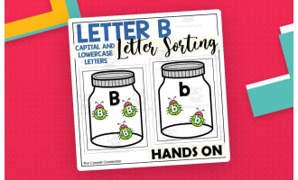Letter B Capital and Lowercase Letter Sorting