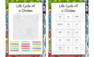 Life Cycle of a Chicken word search, scramble and crossword puzzles