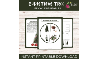 Life Cycle of a Christmas Tree Worksheet- Holiday Plant Science Unit
