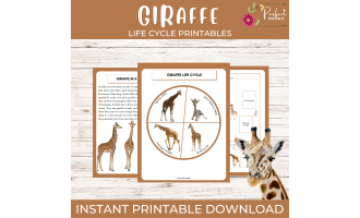 Life Cycle of a Giraffe Worksheet - Animal Science Unit Study