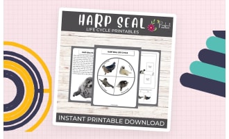 Life Cycle of a Harp Seal- Ocean Animal Science Unit Study & Fun Facts