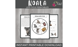 Life Cycle of a Koala, Australian Wildlife Unit Study fun facts