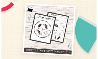 Pill Bug Life Cycle Worksheet – Roly Poly Unit