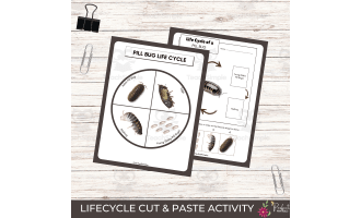 Pill Bug Life Cycle Worksheet – Roly Poly Unit