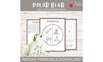 Life Cycle of a Polar Bear | Arctic Animal Unit Study with Fun Facts!