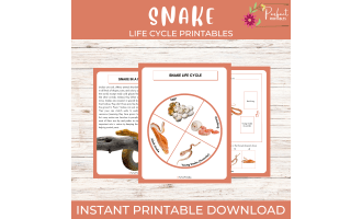 Life Cycle of a Snake Worksheet - Reptiles Science Unit Study