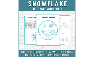 Life Cycle of a Snowflake Worksheet: Winter Science Center Activities