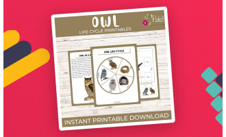 Life Cycle of an Owl | Wildlife/Birds Unit Study With Fun Facts!