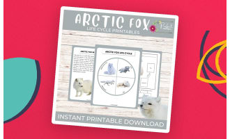 Life Cycle of Arctic Fox Worksheet- Winter Animal Science Unit Study