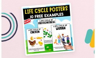 LIFE CYCLE POSTERS | 10 EXAMPLES