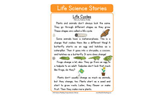 Life Cycles Life Science Reading Comprehension Worksheet