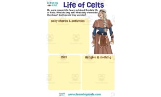 Life of Celts Activity
