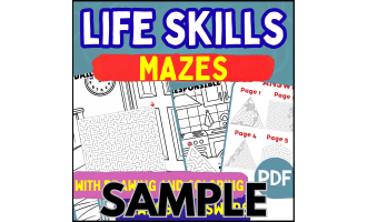 Life Skills Maze: 1 Page Sample (PDF)