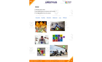 Lifestyles ESL TEFL Upper Intermediate Lesson Plan