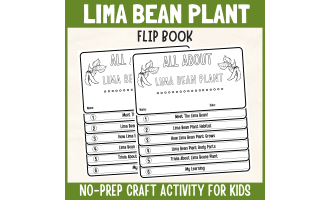 Lima Bean Flipbook Botany DIY Craft Plant Science Study Writing Prompt