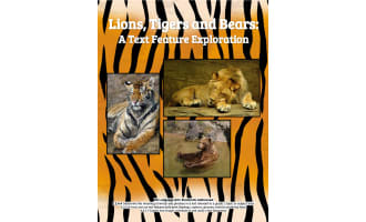 Lions, Tigers and Bears: A Text Feature Exploration