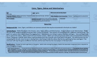 Lions, Tigers, Zebras + Veterinarians PE Game