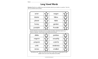 Long Vowel Words Worksheet