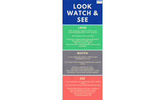 Look, Watch & See | Intermediate Lesson Plan