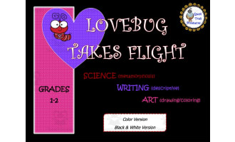Lovebug Takes Flight