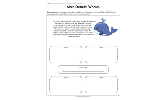 Main Details Whales Worksheet
