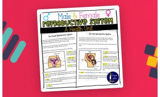 Male & Female Reproductive Systems – Health Unit