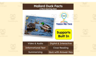 Mallard Duck Facts | Interactive Science Lesson | Micro-Learning Deck