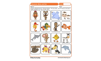 Mammal Birds and Fish Worksheet