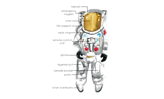 Man on the Moon History Pack | Lunar Mission, Astronaut, Apollo 11, Neil Armstrong Posters | Homeschool Resources