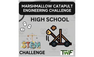 Marshmallow Catapult Challenge - HIGH SCHOOL - STEM Engineering