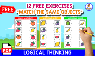 MATCH THE SAME OBJECT | WITH FRUITS ICONS