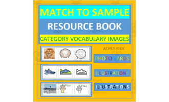 MATCH TO SAMPLE RESOURCE| CATEGORY VOCABULARY IMAGES photo symbols