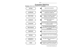 Matching Ecosystems Worksheet