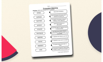 Matching Ecosystems Worksheet