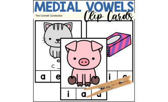 Medial Sounds Clip Cards