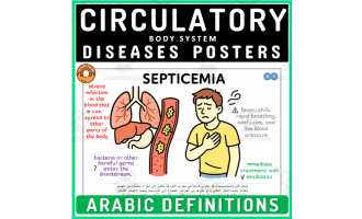 Medical Terminology Arabic Posters Human Body Circulatory Disorders
