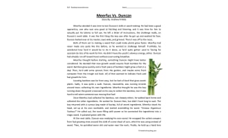 Meerfus vs Duncan Reading Comprehension Worksheet