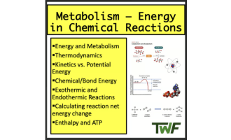 Metabolism - High School Biology lesson