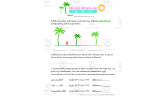 Miami Themed Cross-Curricular Activity Sheet