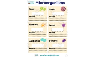 Microorganisms Activity