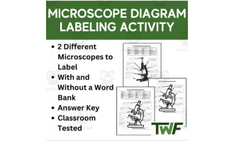 Microscope Diagram Labeling Activity