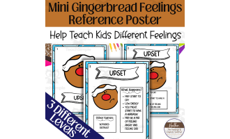 Mini Emotions Reference Posters/Flash Cards-- Winter Themed