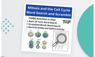 Mitosis and the Cell Cycle Word Search and Scramble Activity