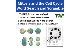 Mitosis and the Cell Cycle Word Search and Scramble Activity
