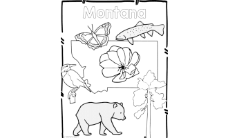 Montana State Symbols Clip Art