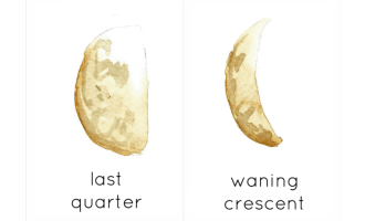 Moon Phases Flashcards