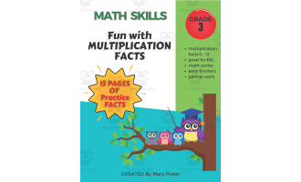 Multiplication Fun Facts Worksheets