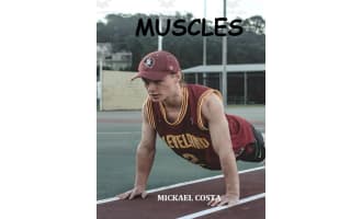 muscular system